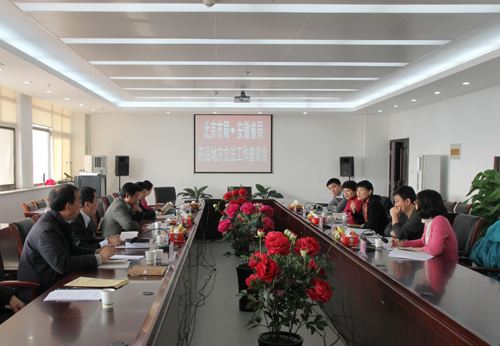 合肥正立电子承接“安徽省医药管理局会议厅灯光音响工程”